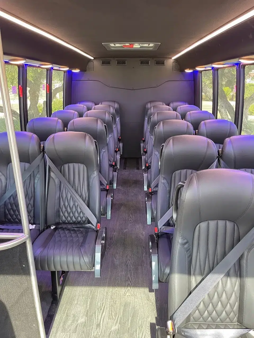Premium 22 Passenger Executive Mini Bus Rental — Croswell